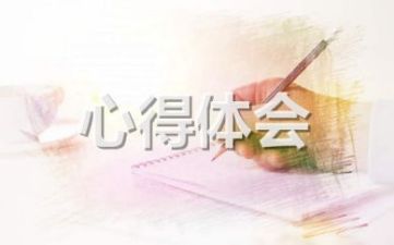 大学生实习个人心得体会感想