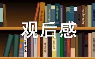 2022央视春晚小学生观后感参考范文