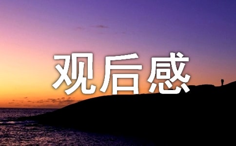 基层干部专题片《零容忍》观后感范文5篇